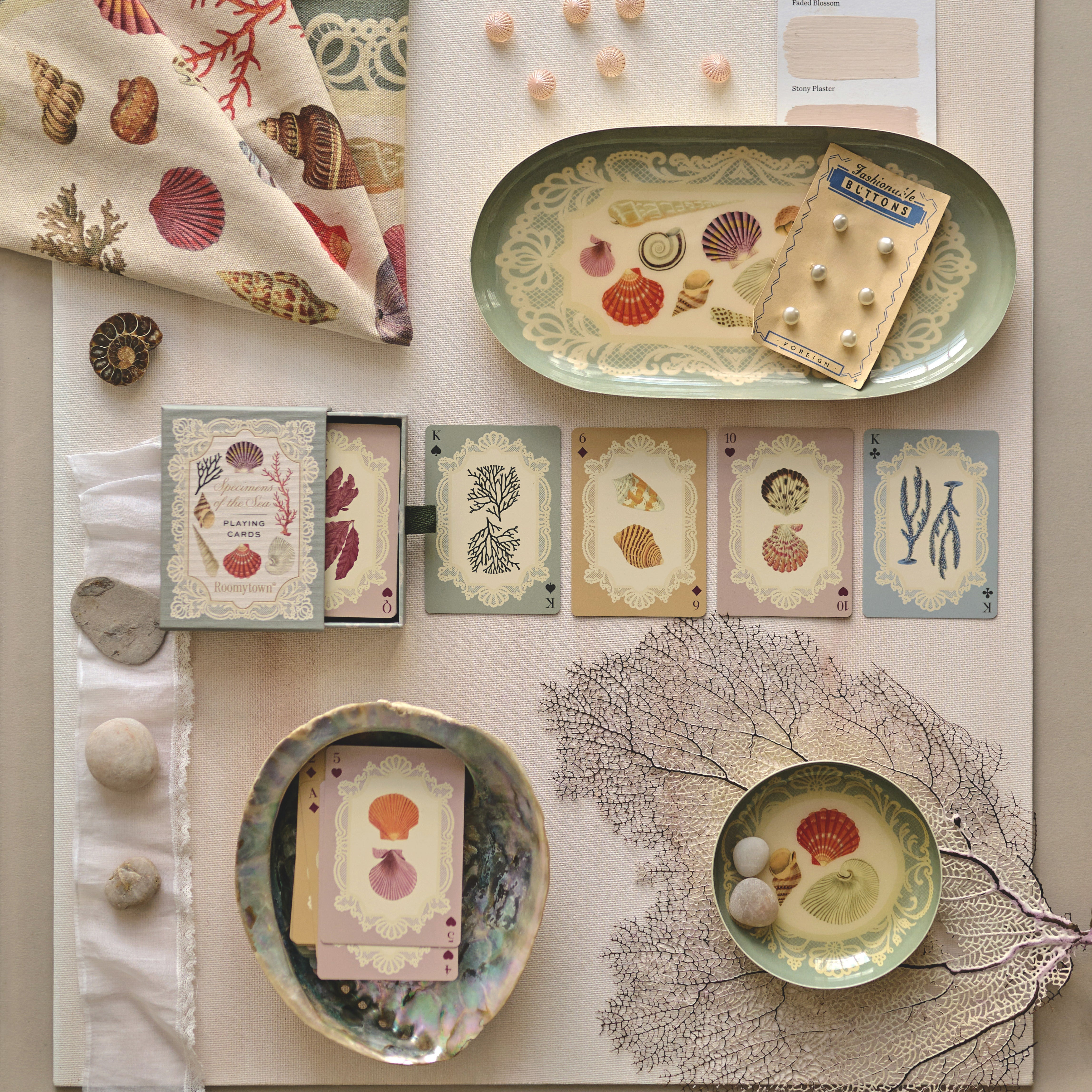 Specimens of the Sea – Roomytown UK