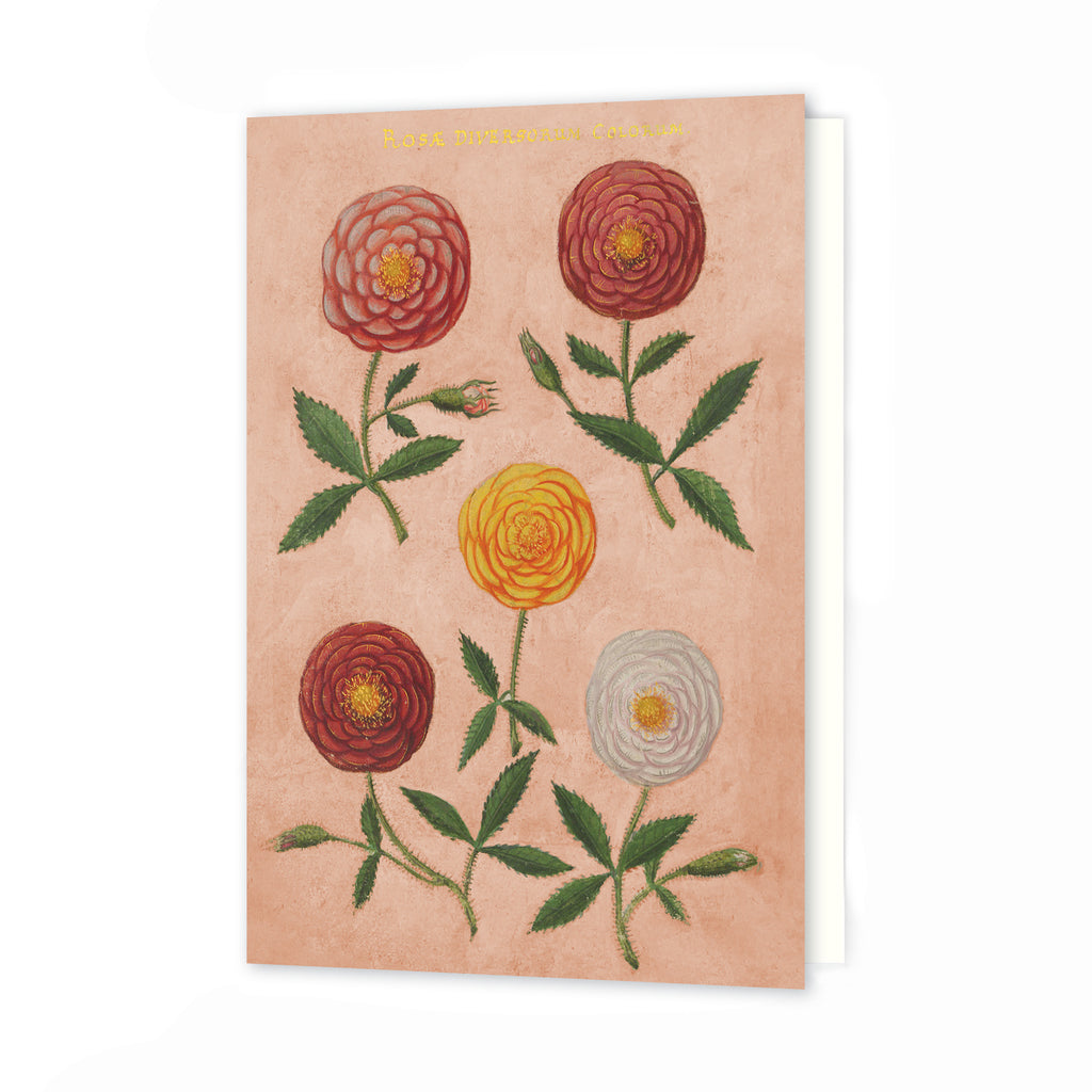 Greetings Card - Pink Festival of Flowers – Roomytown