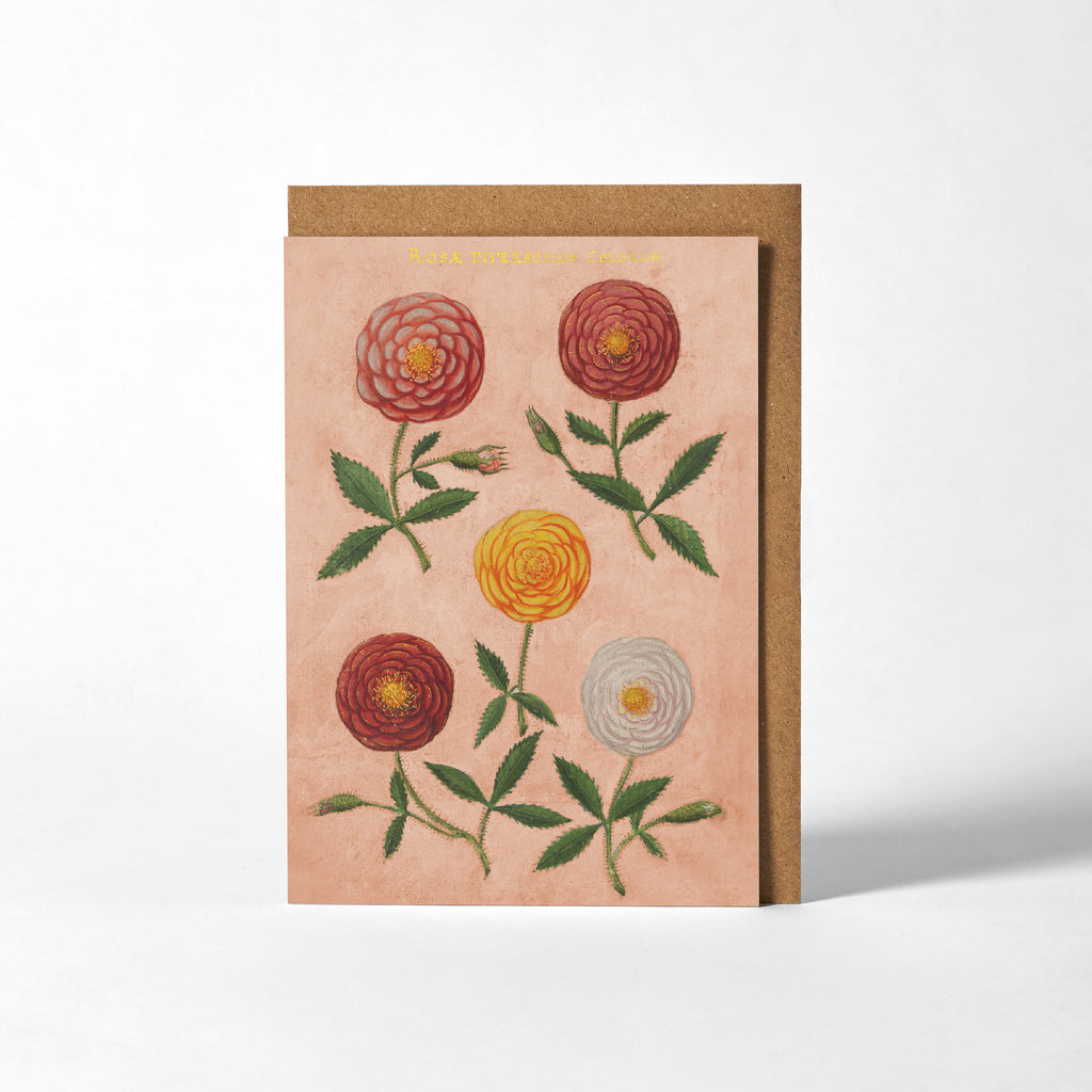 Greetings Card - Pink Festival of Flowers – Roomytown UK