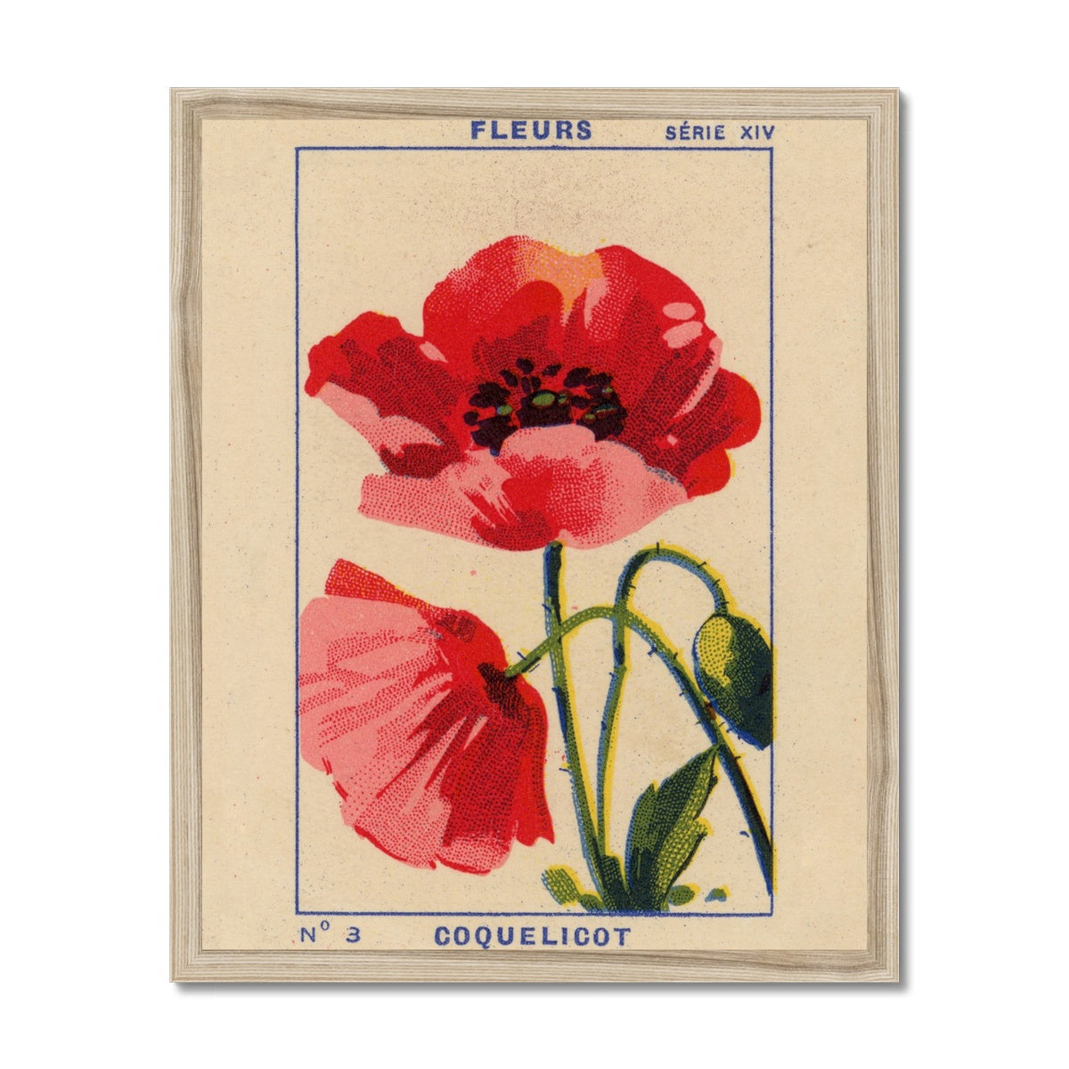 Coquelicot (Poppy)  Fine Art Print