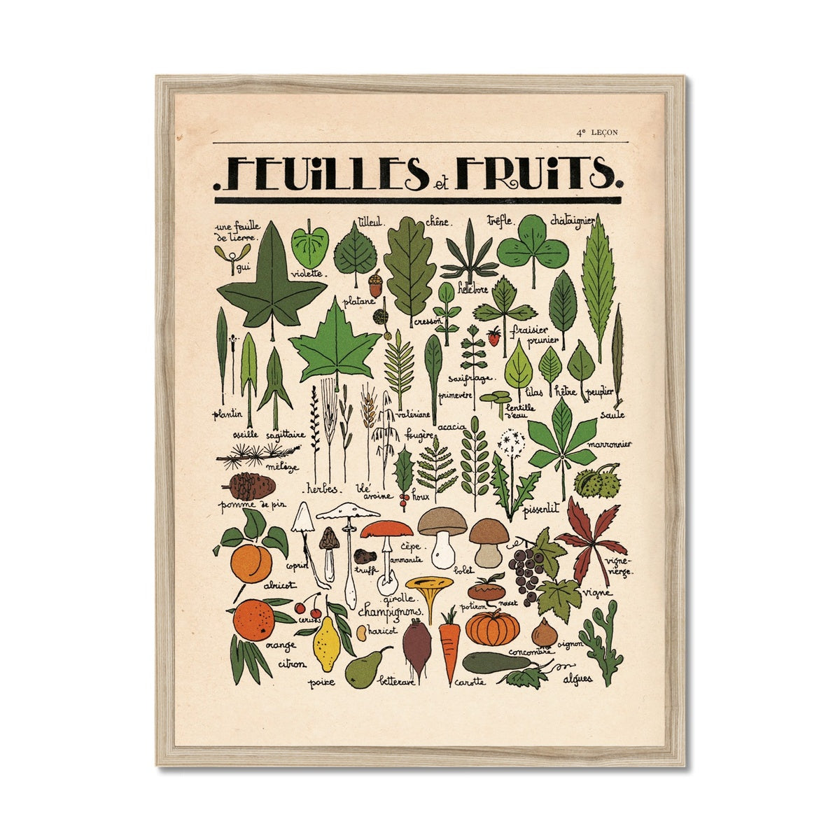 Feuilles et Fruits  Fine Art Print