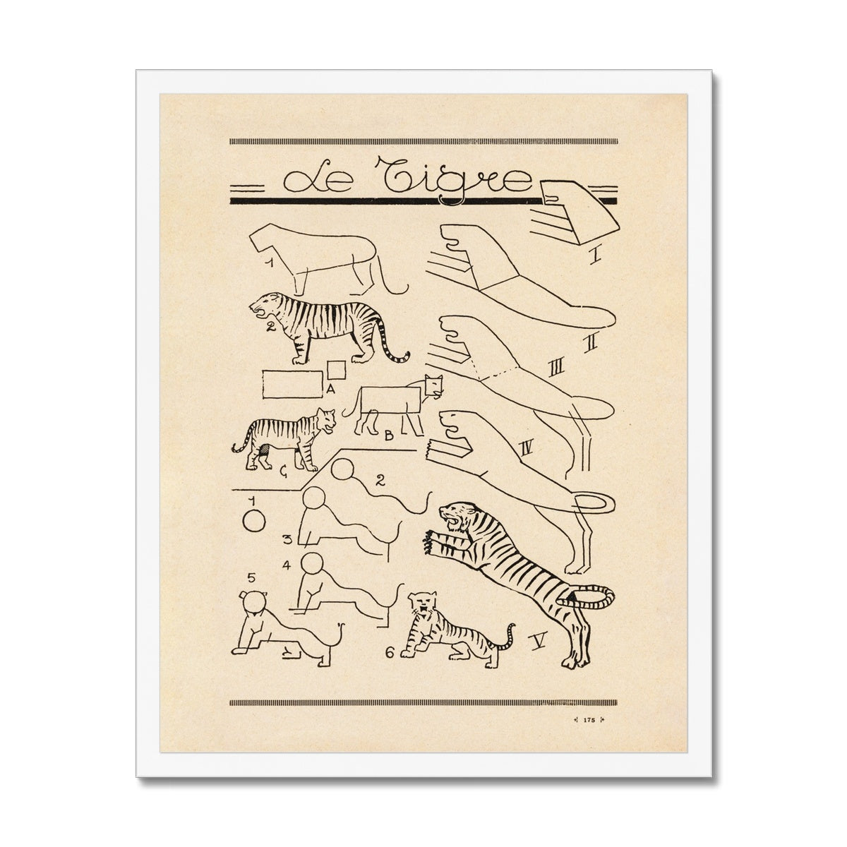 Le Tigre Fine Art Print