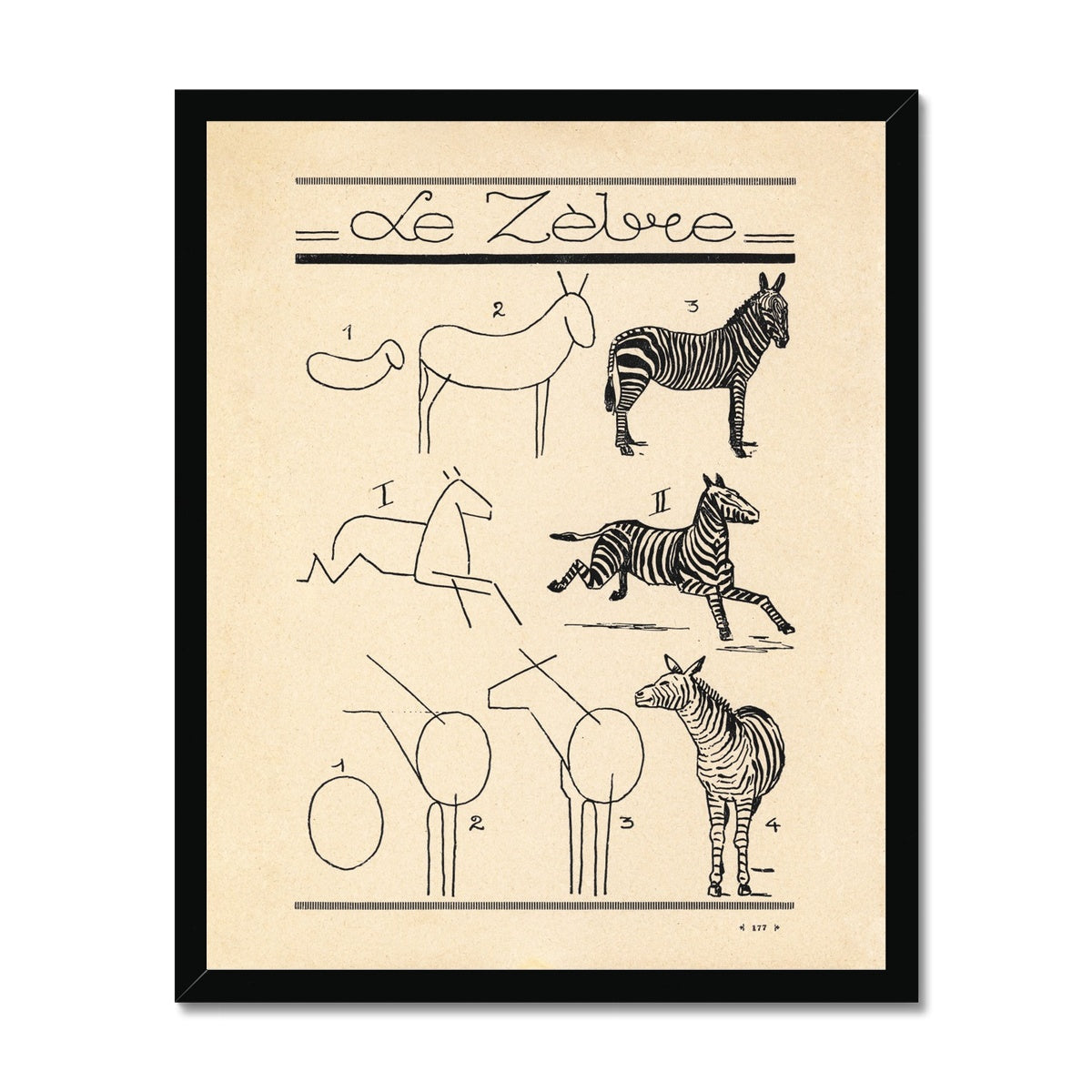 Le Zebre Fine Art Print