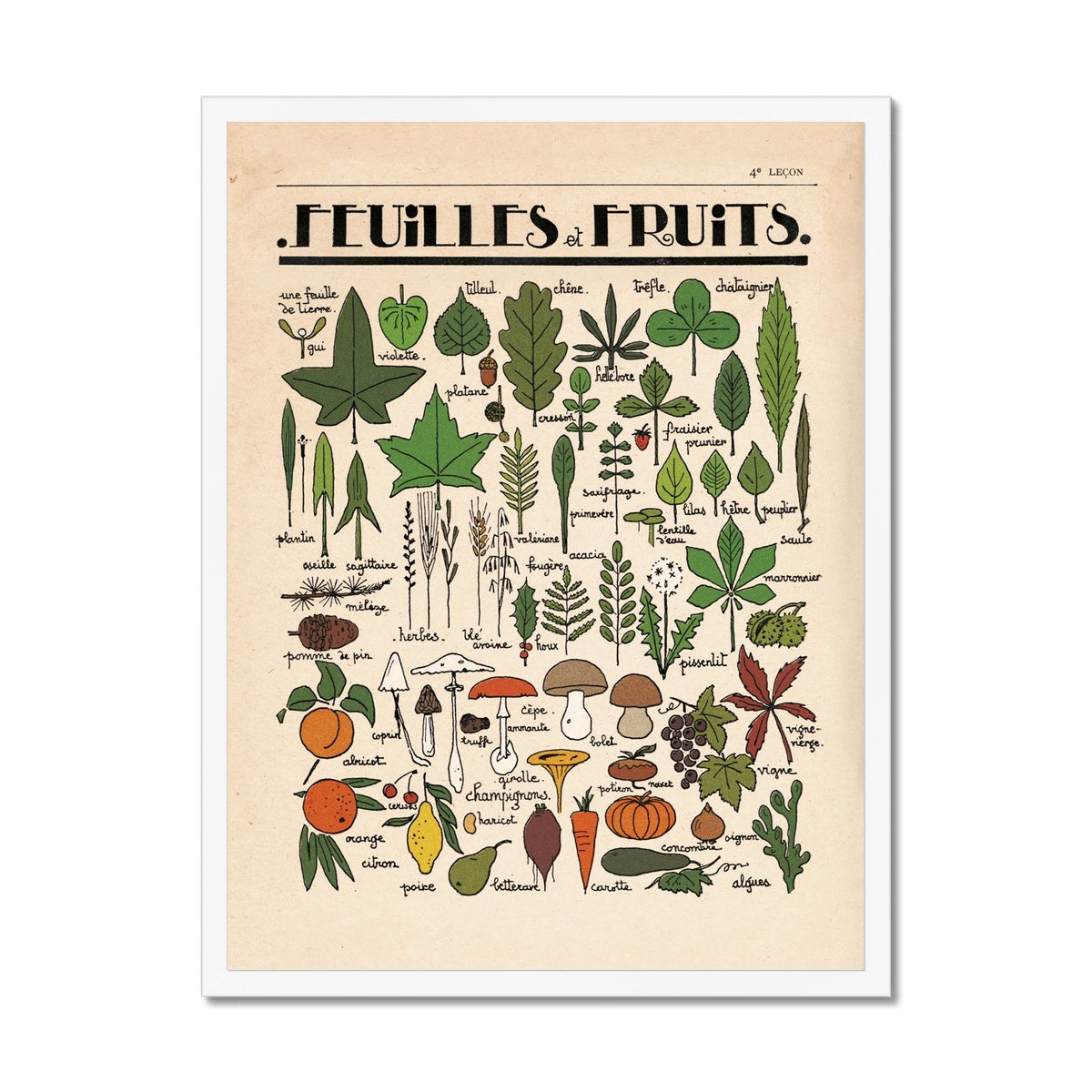 Feuilles et Fruits  Fine Art Print