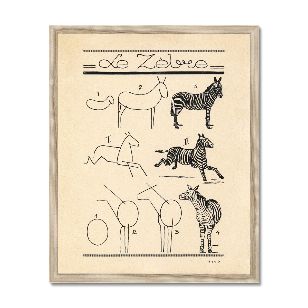 Le Zebre Fine Art Print