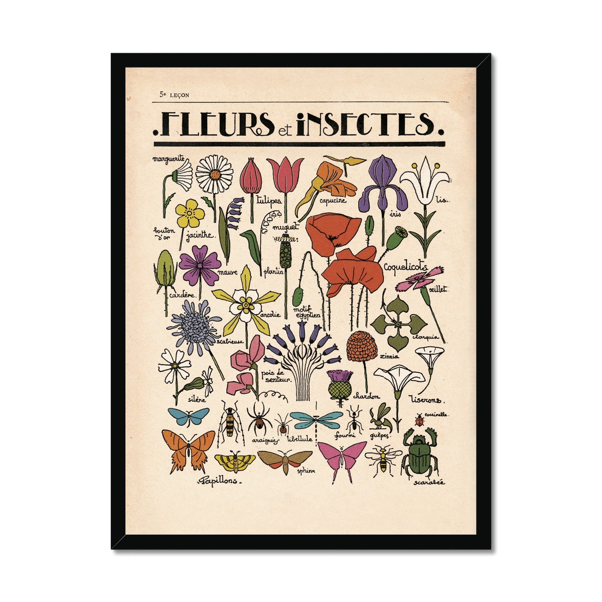 Fleurs et Insectes  Fine Art Print