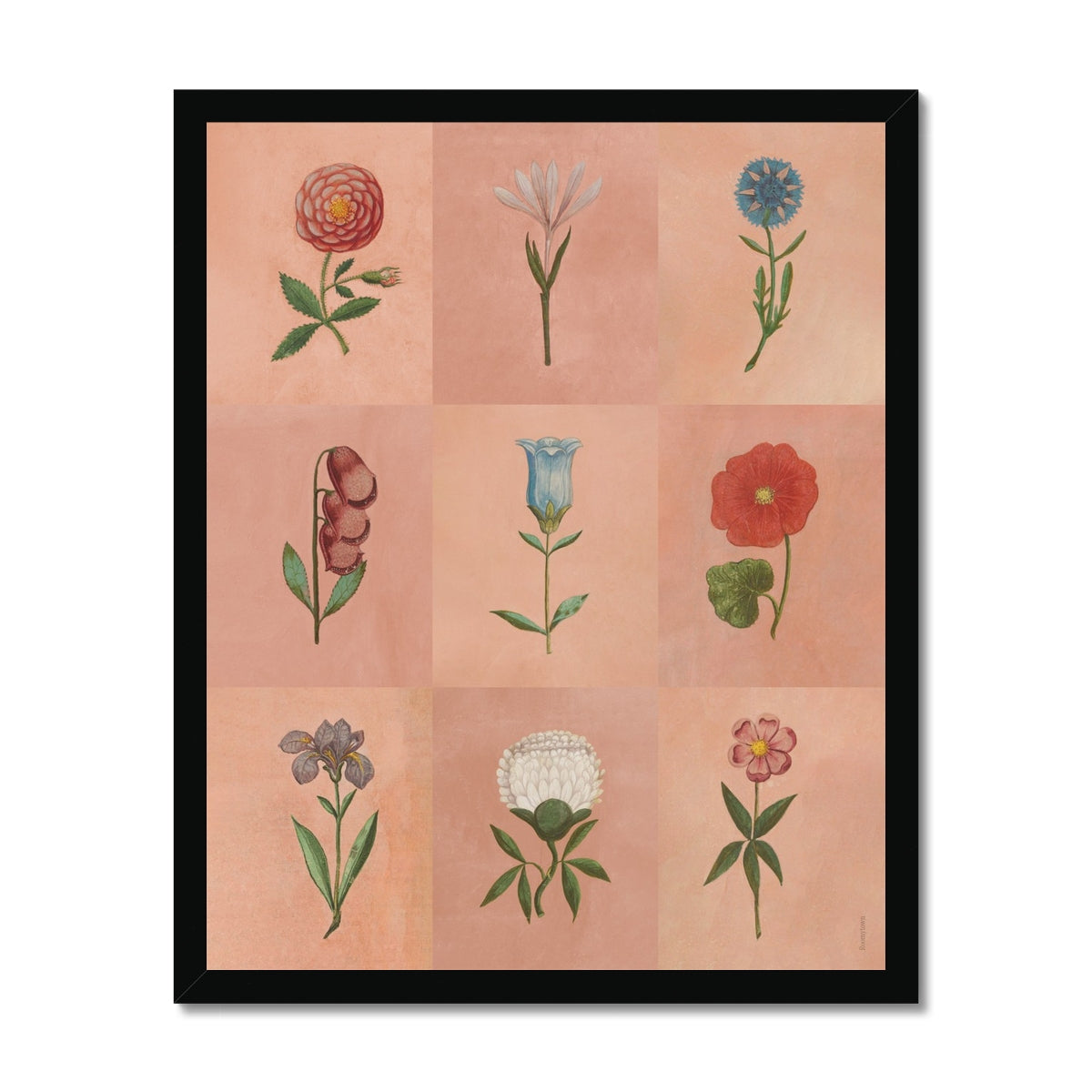 Pink Festival of Flowers  Fine Art Print
