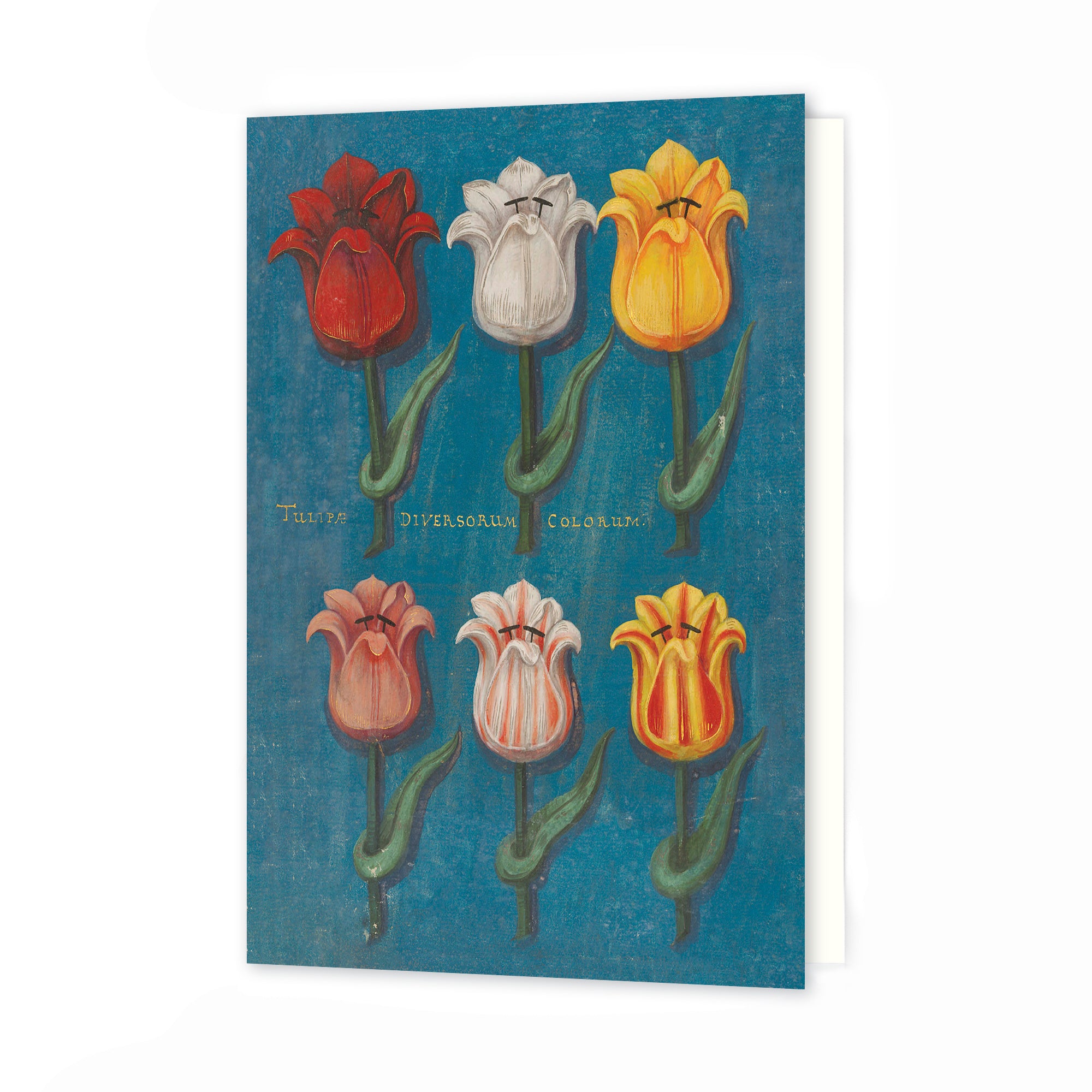 Greetings Card - Blue Festival of Flowers