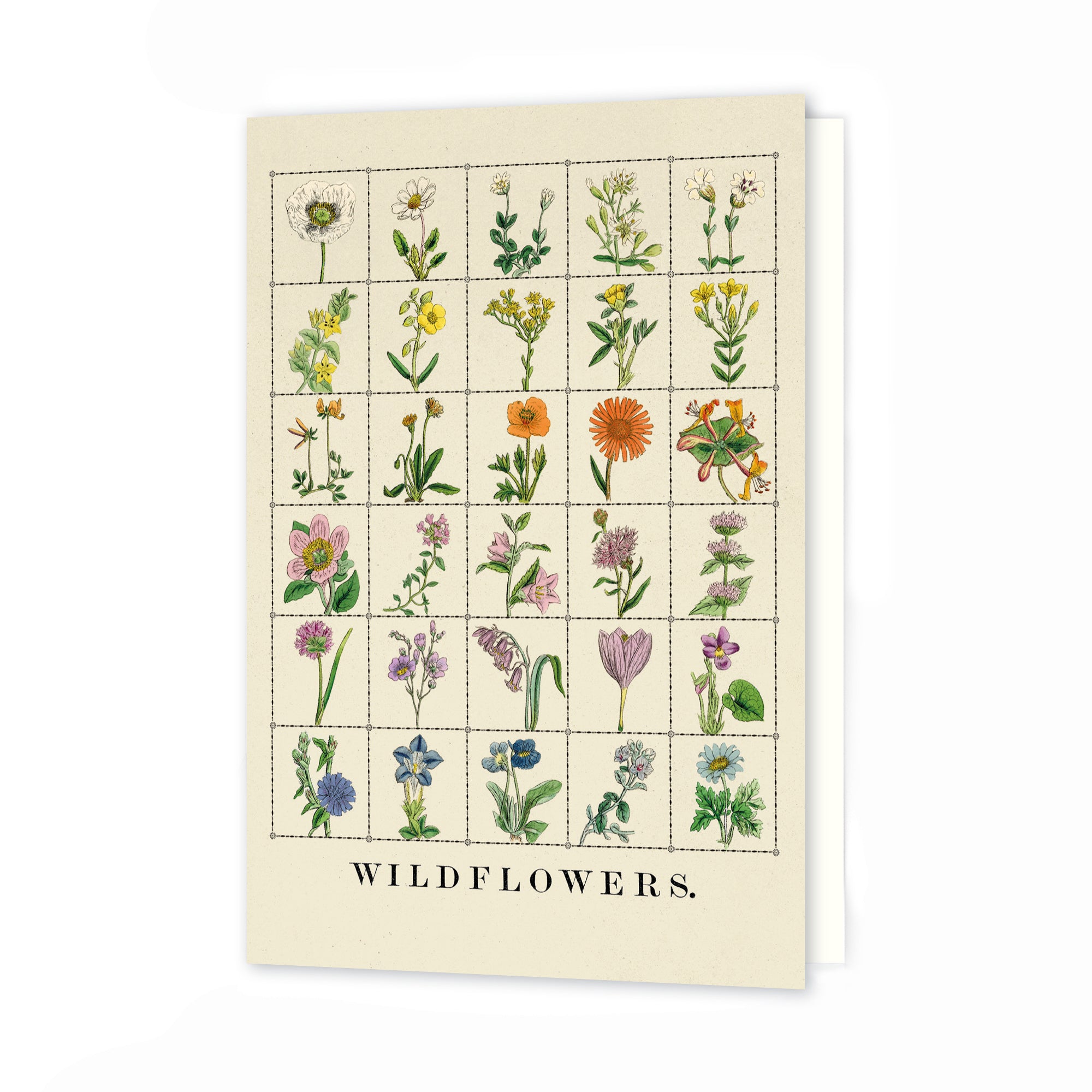 Greetings Card - Wildflowers