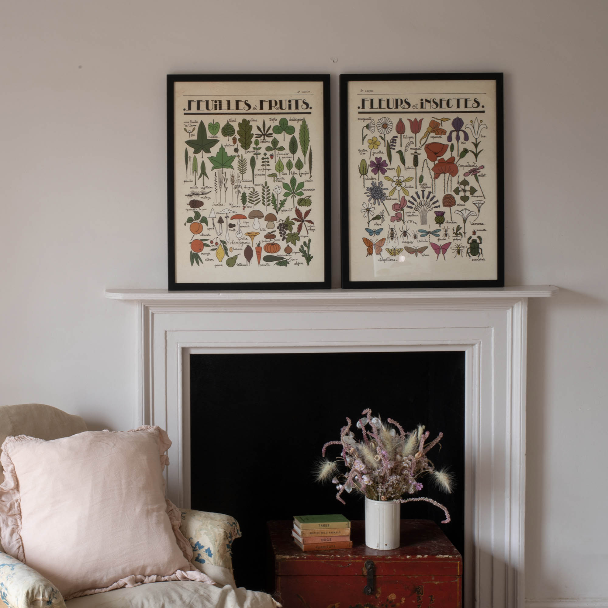 Fleurs et Insectes  Fine Art Print