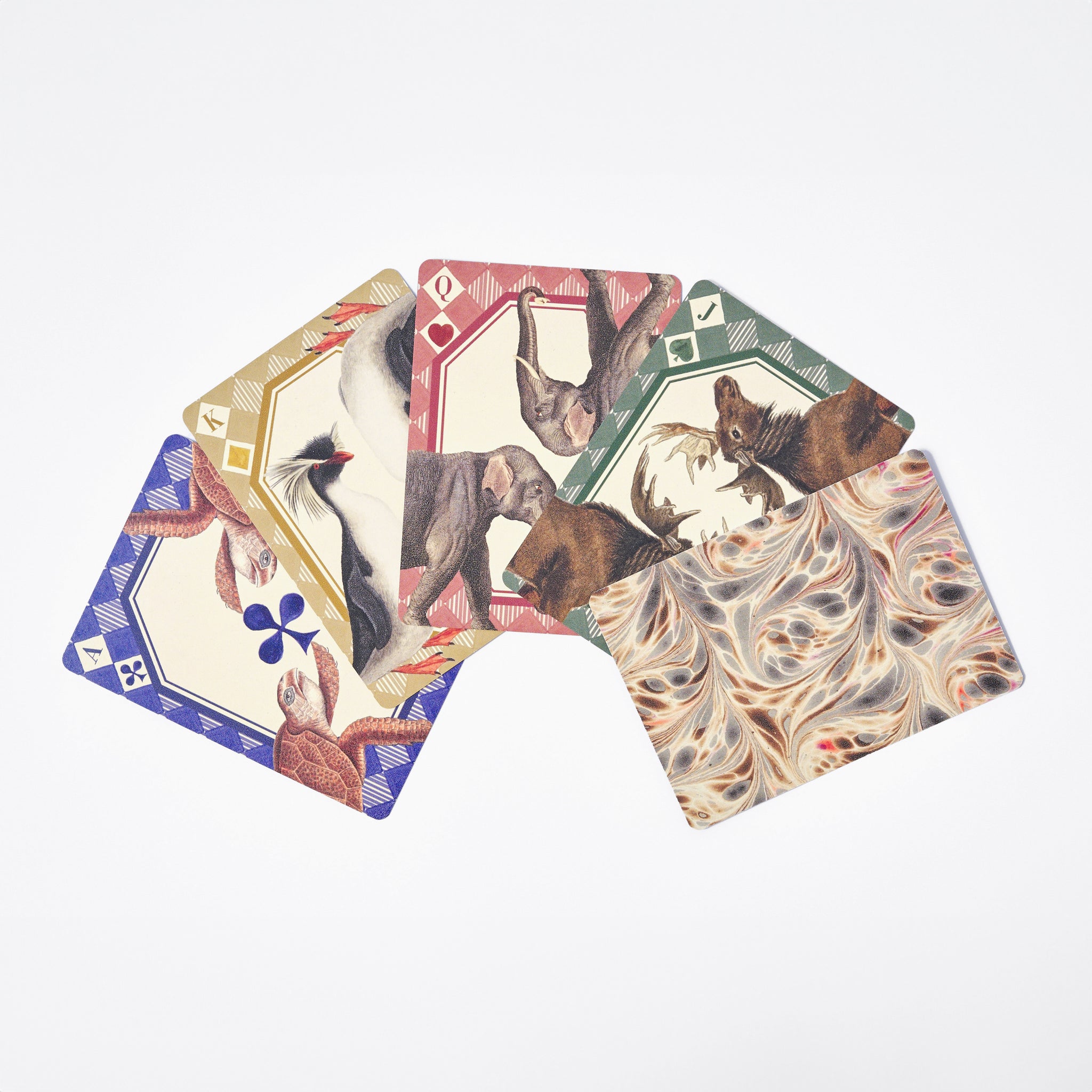 Animal Kingdom Single Playing Card Deck