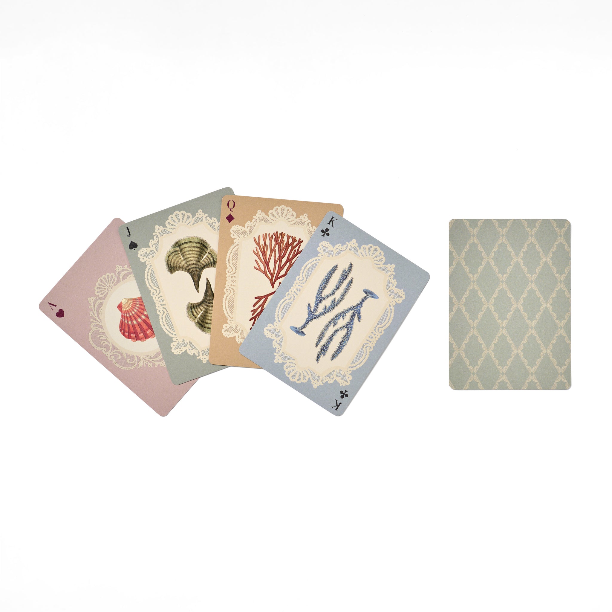 Single Deck Playing Cards - Specimens of the Sea – Roomytown UK