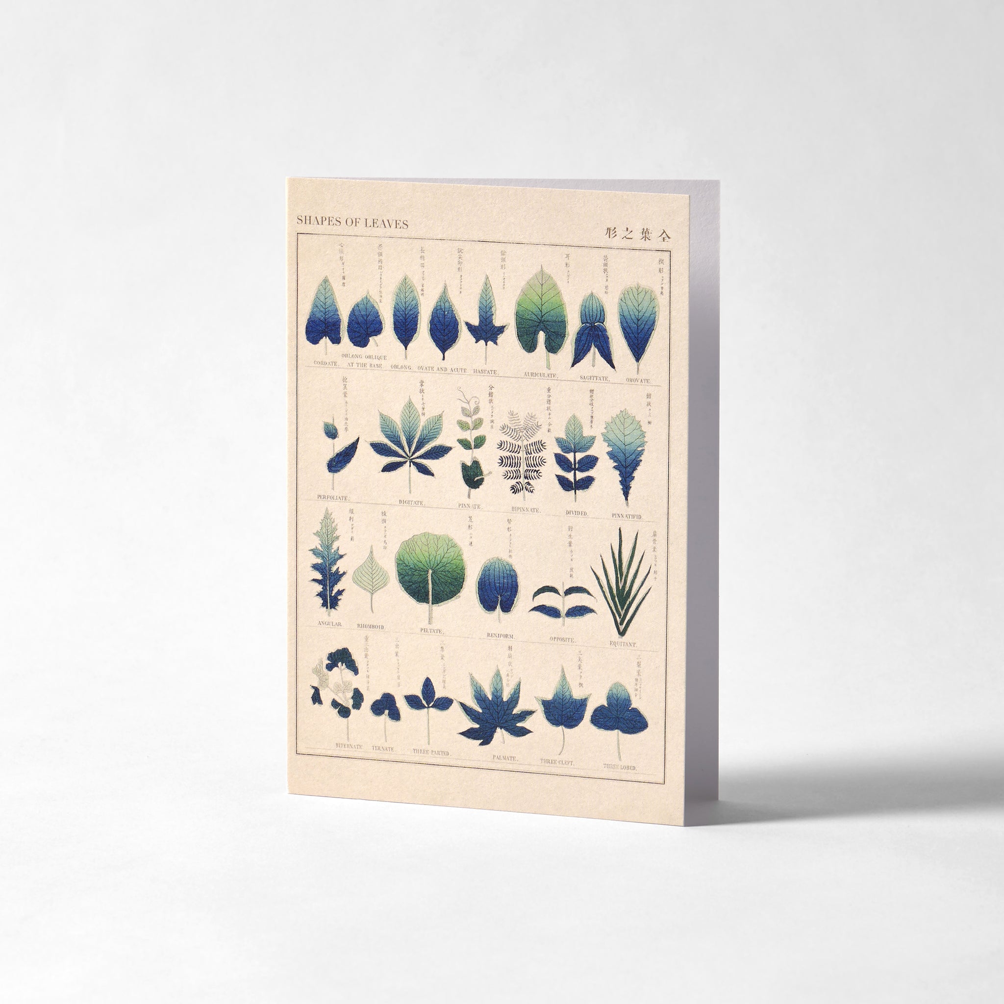 Greetings Card - Shapes of Leaves