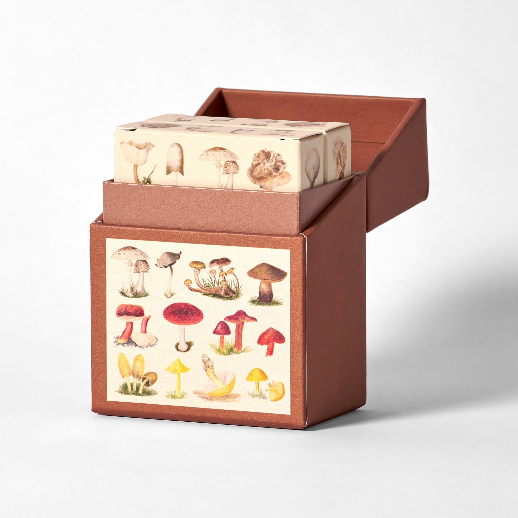 Eeboo Piece Love Natural And Earth Science Educational Flash Card - Macy's