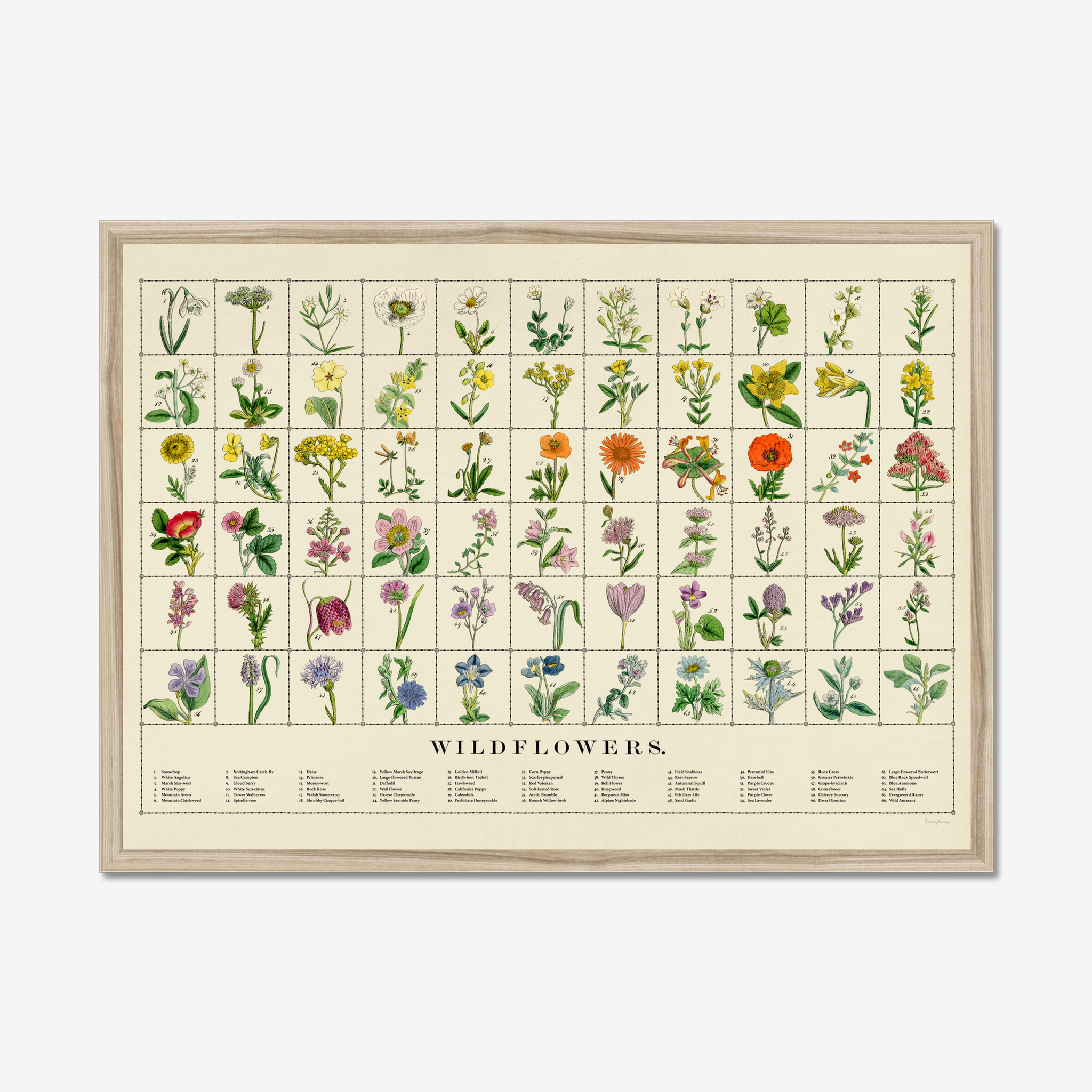 Wildflowers Fine Art Print