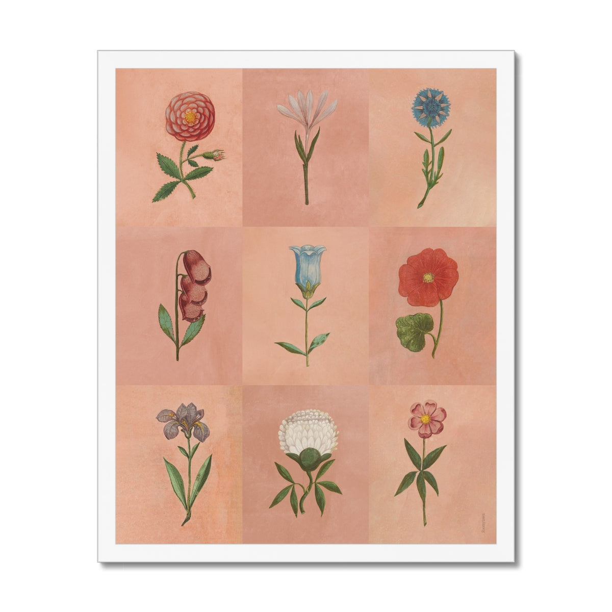 Pink Festival of Flowers  Fine Art Print