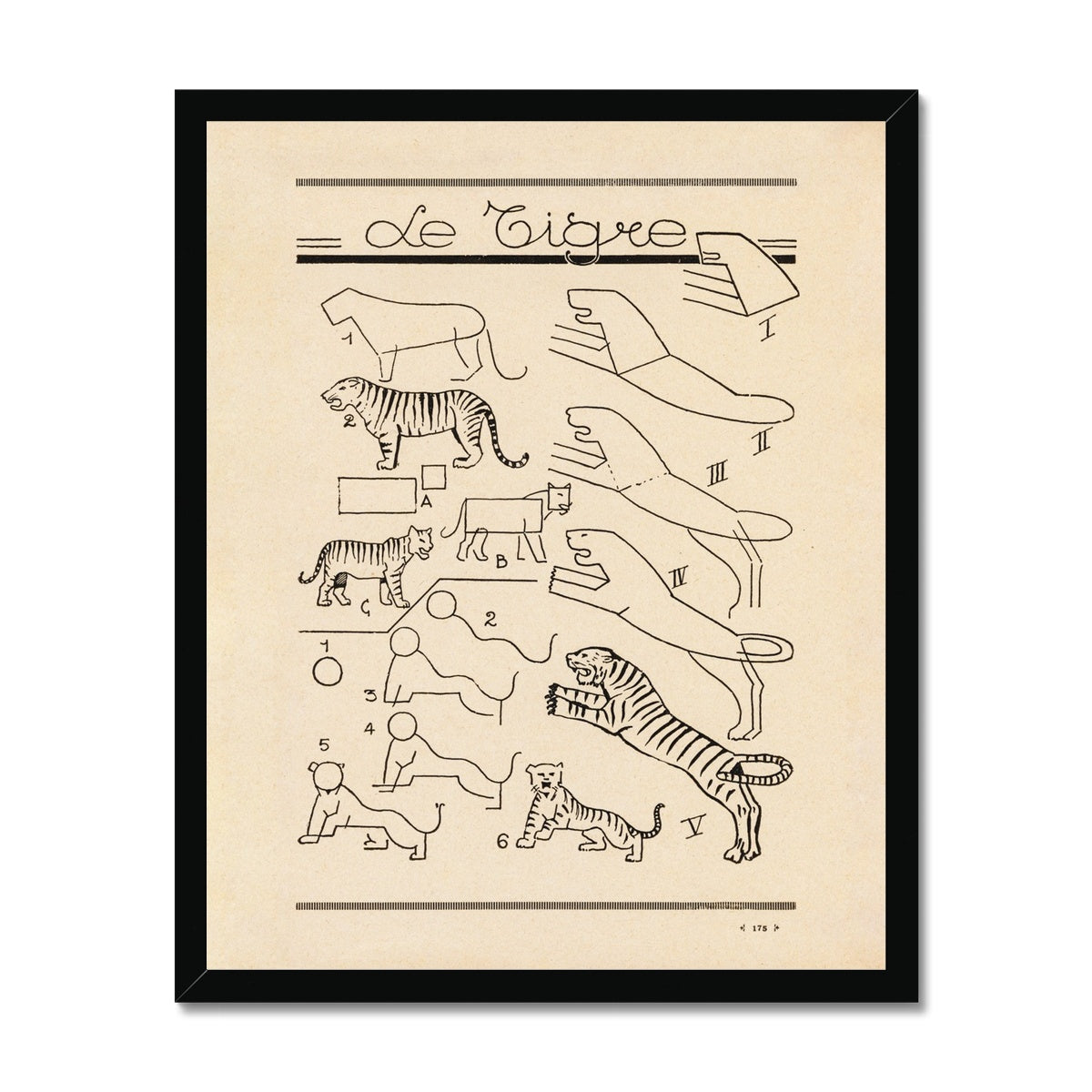Le Tigre Fine Art Print