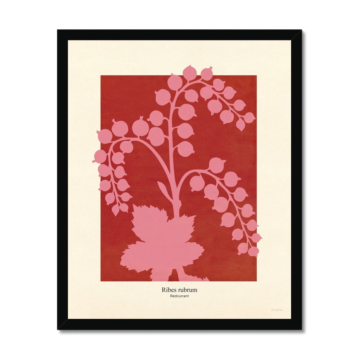 Philipp Otto Runge Botanicals - Redcurrant Fine Art Print Framed Print