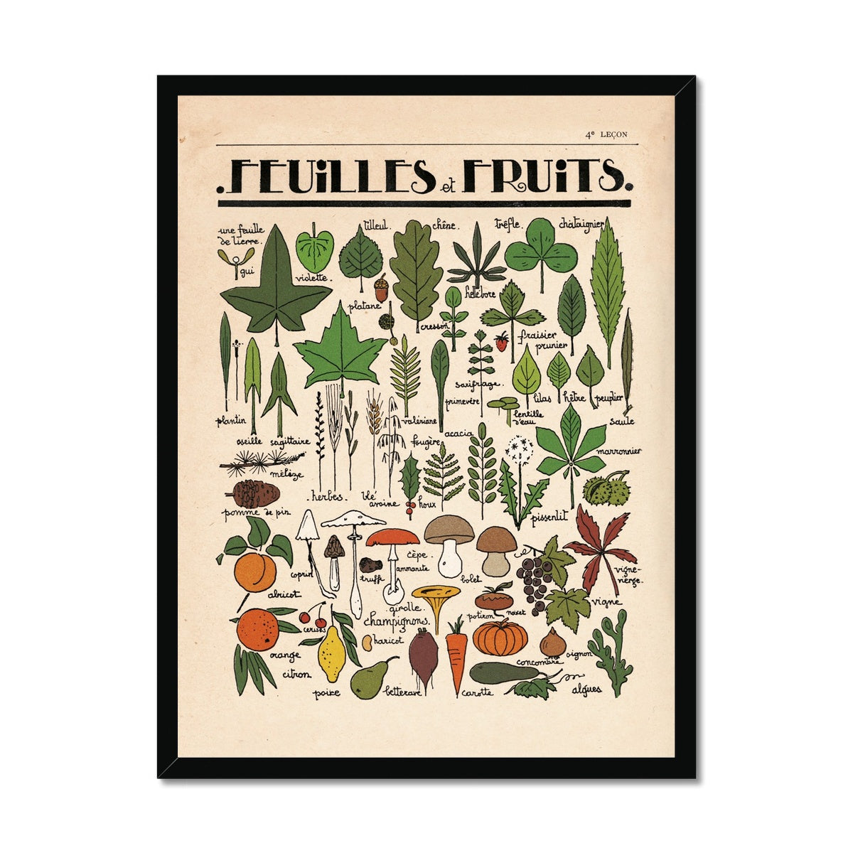 Feuilles et Fruits  Fine Art Print