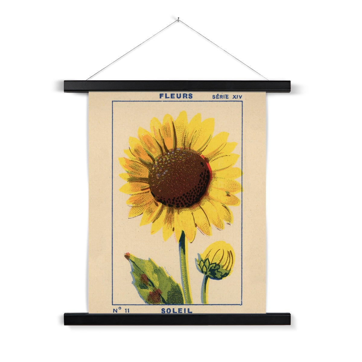 Soleil (Sunflower) Fine Art Print with Hanger