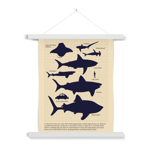 Vintage Sharks Fine Art Print with Hanger