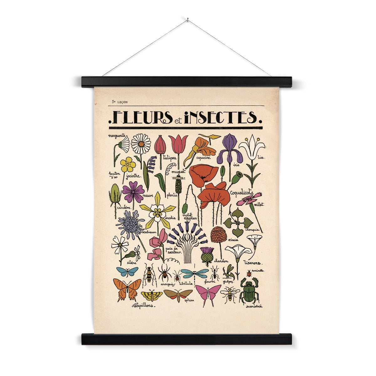 Fleurs et Insectes Fine Art Print with Hanger
