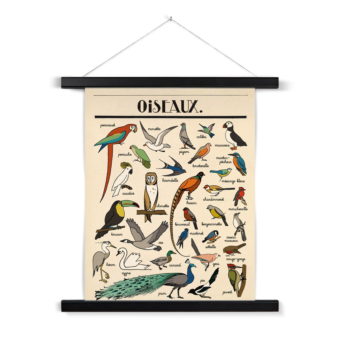 Oiseaux Fine Art Print with Hanger