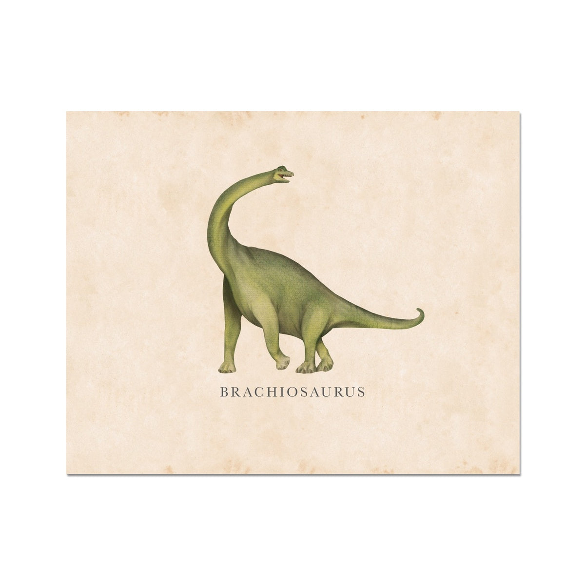 Vintage Brachiosaurus Fine Art Print