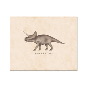 Vintage Triceratops Fine Art Print
