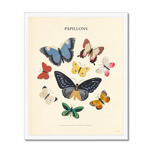 Papillons Framed Fine Art Print