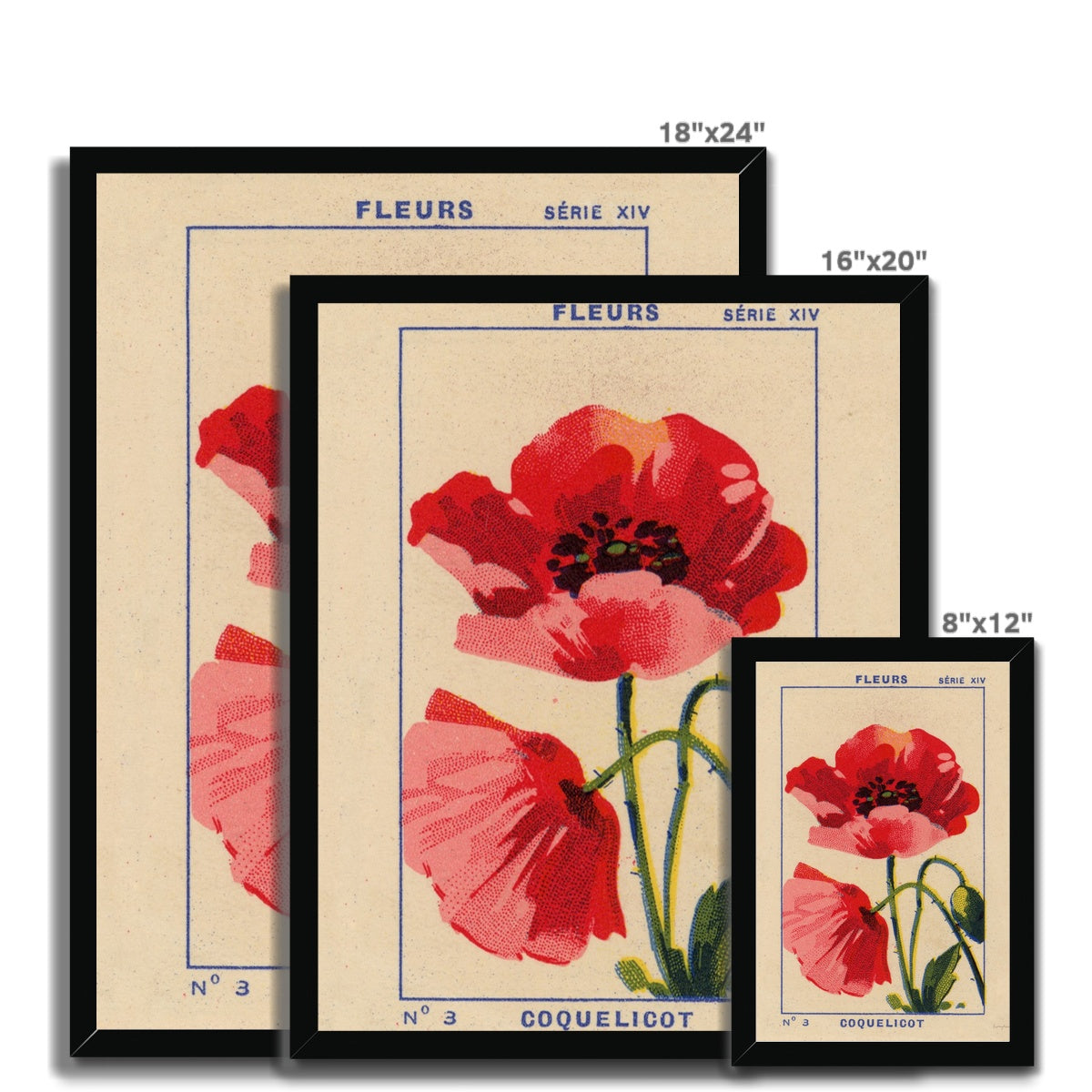 Coquelicot (Poppy) Framed Fine Art Print