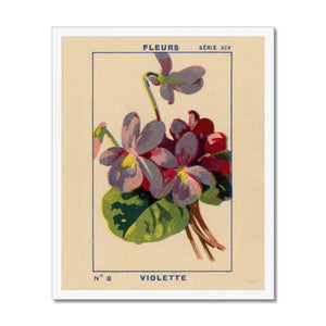 Violette (Violet) Framed Fine Art Print