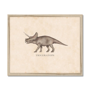 Vintage Triceratops Framed Fine Art Print