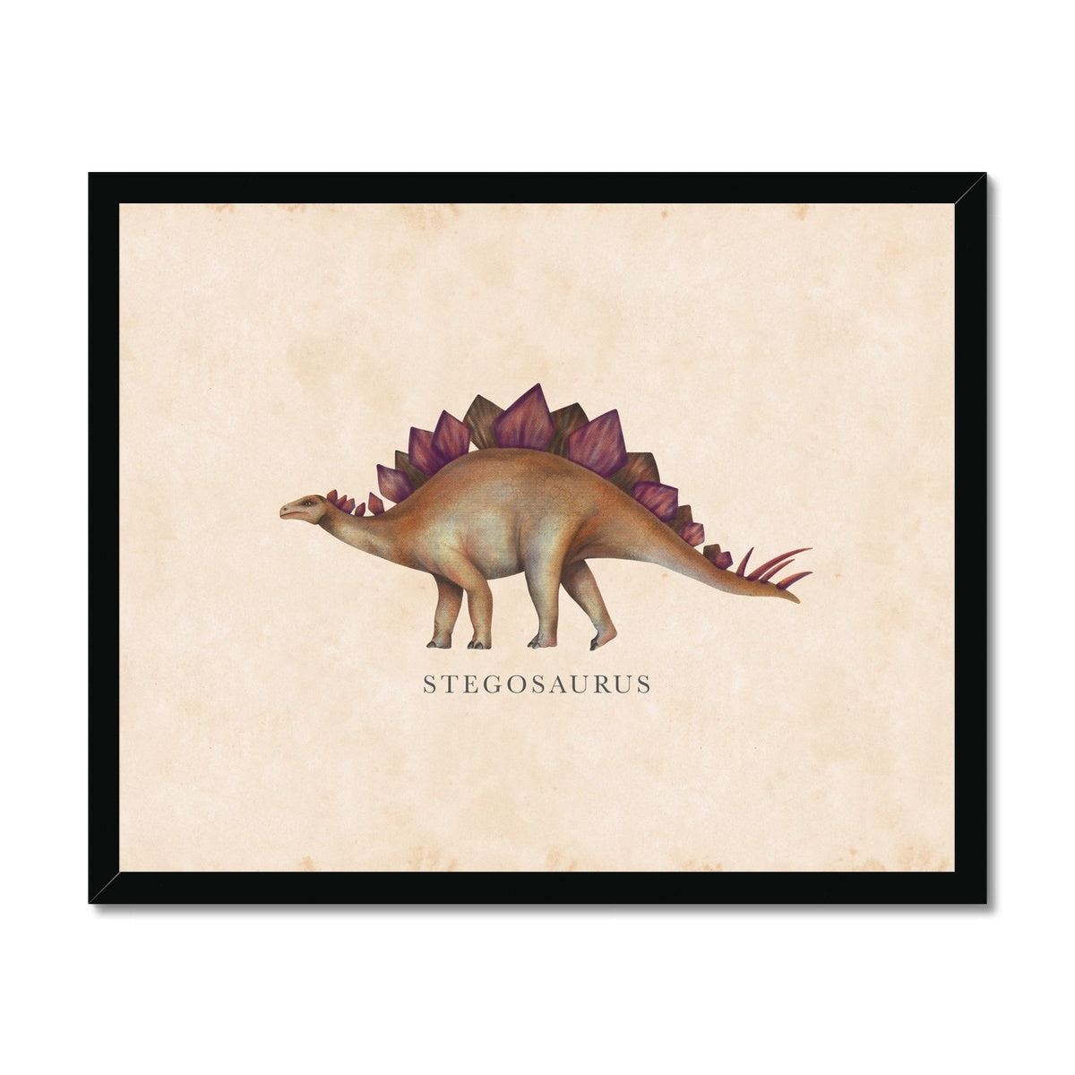 Vintage Stegosaurus Framed Fine Art Print