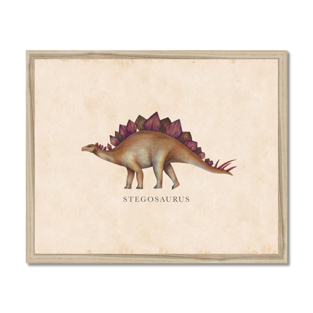 Vintage Stegosaurus Framed Fine Art Print – Roomytown