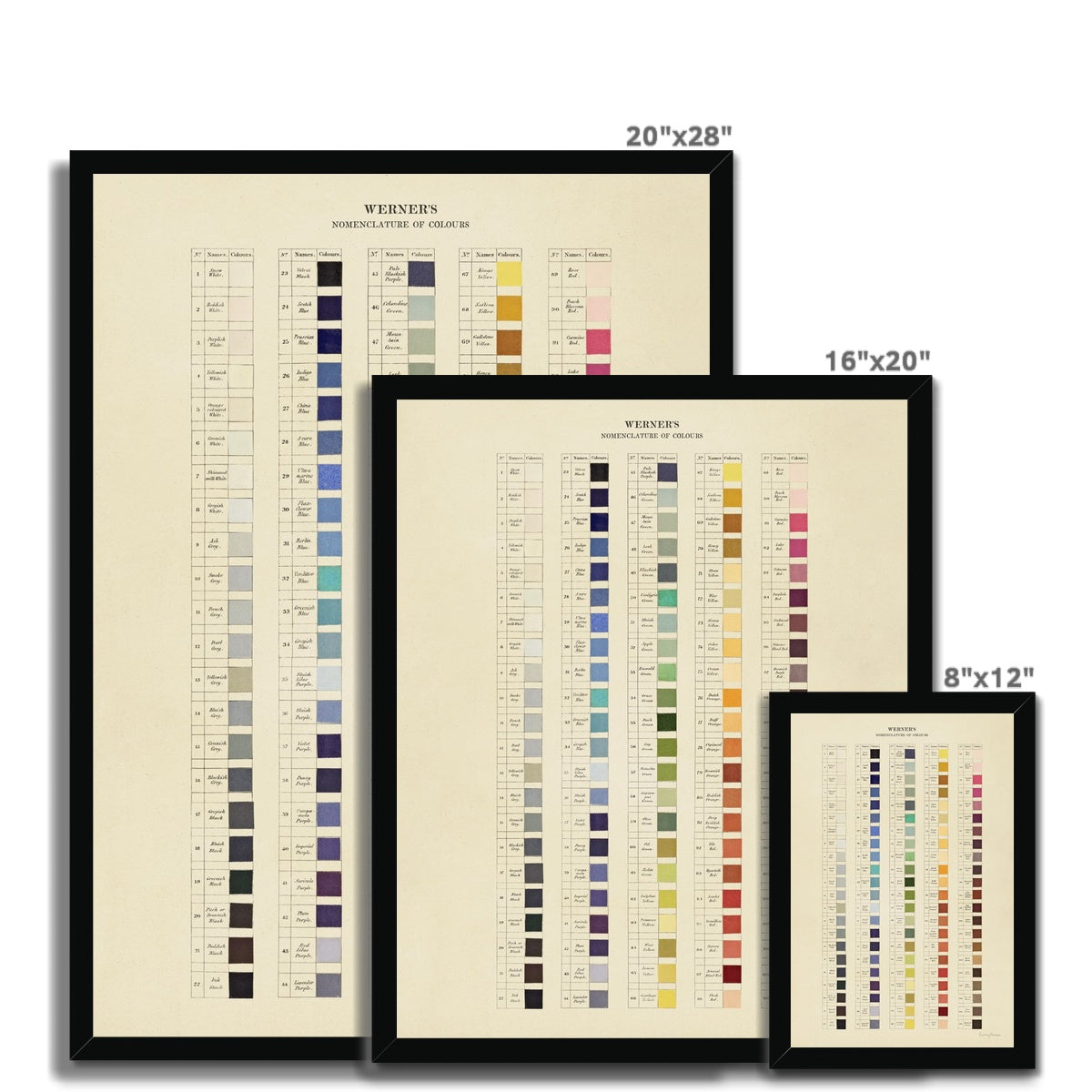 Werner's Nomenclature of Colours Framed Fine Art Print