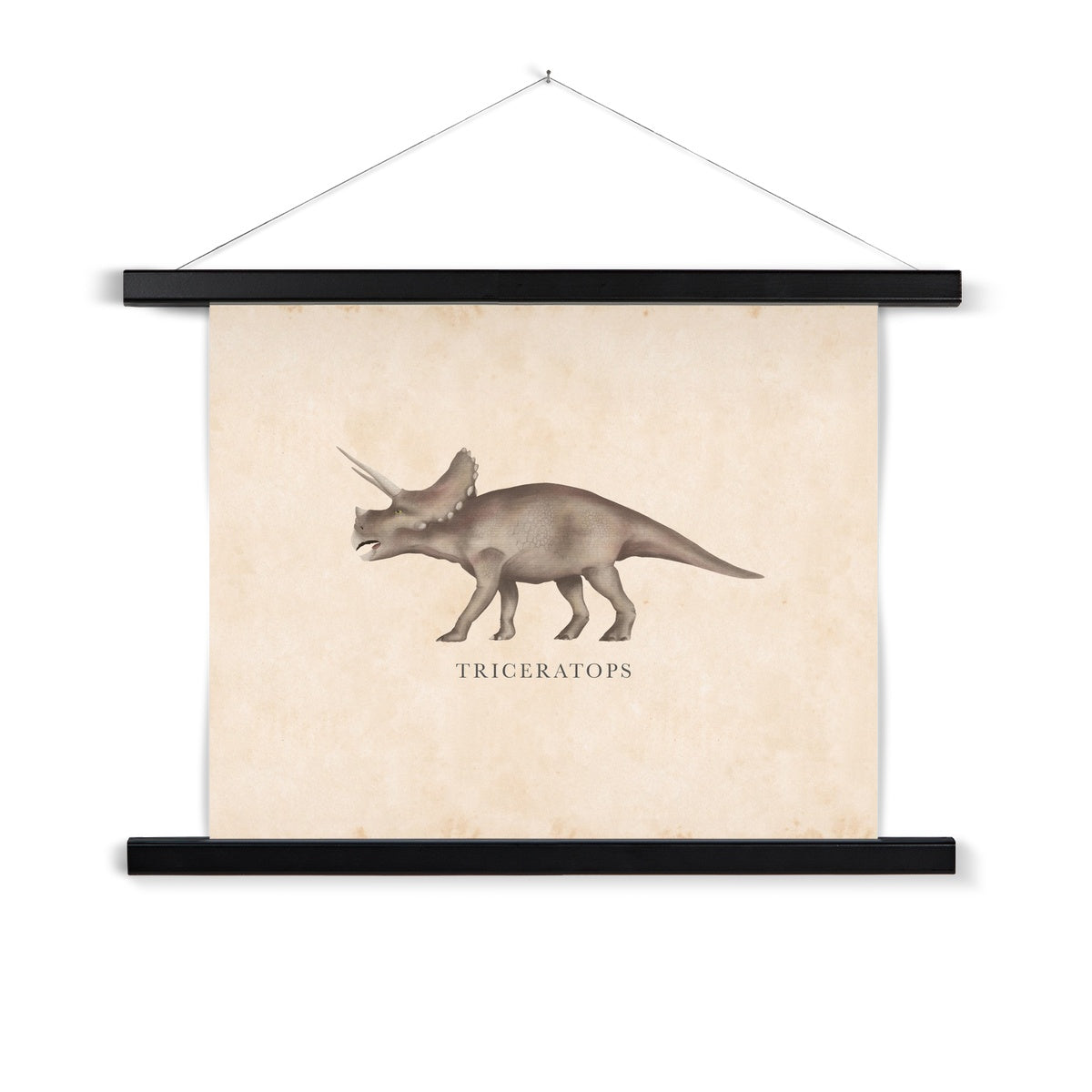 Vintage Triceratops Fine Art Print with Hanger