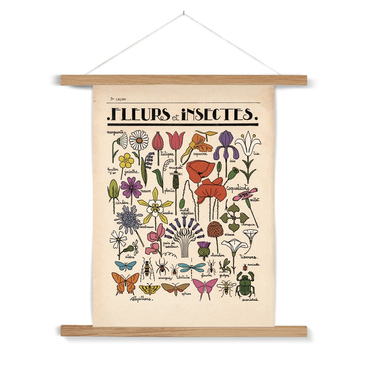 Fleurs et Insectes Fine Art Print with Hanger