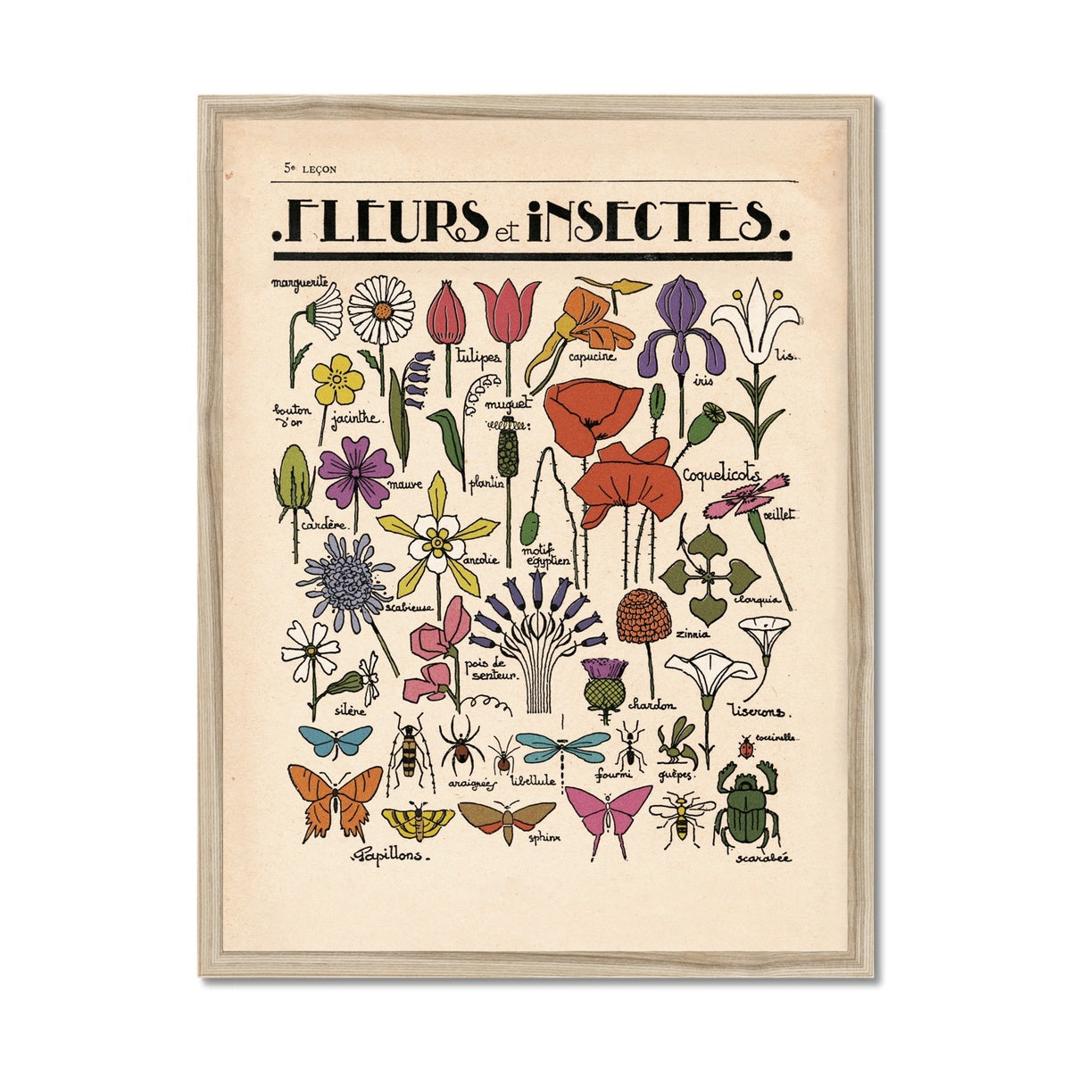 Fleurs et Insectes Framed Fine Art Print