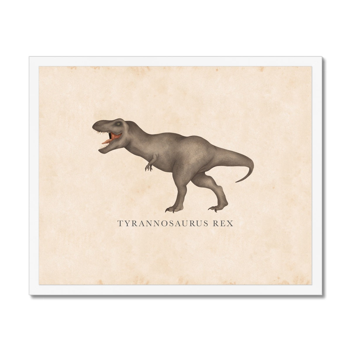 Vintage Tyrannosaurus-Rex Framed Fine Art Print