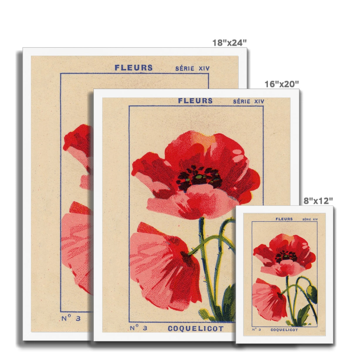 Coquelicot (Poppy) Framed Fine Art Print