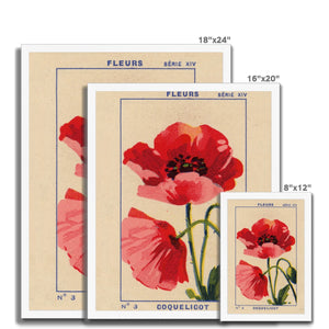 Coquelicot (Poppy) Framed Fine Art Print