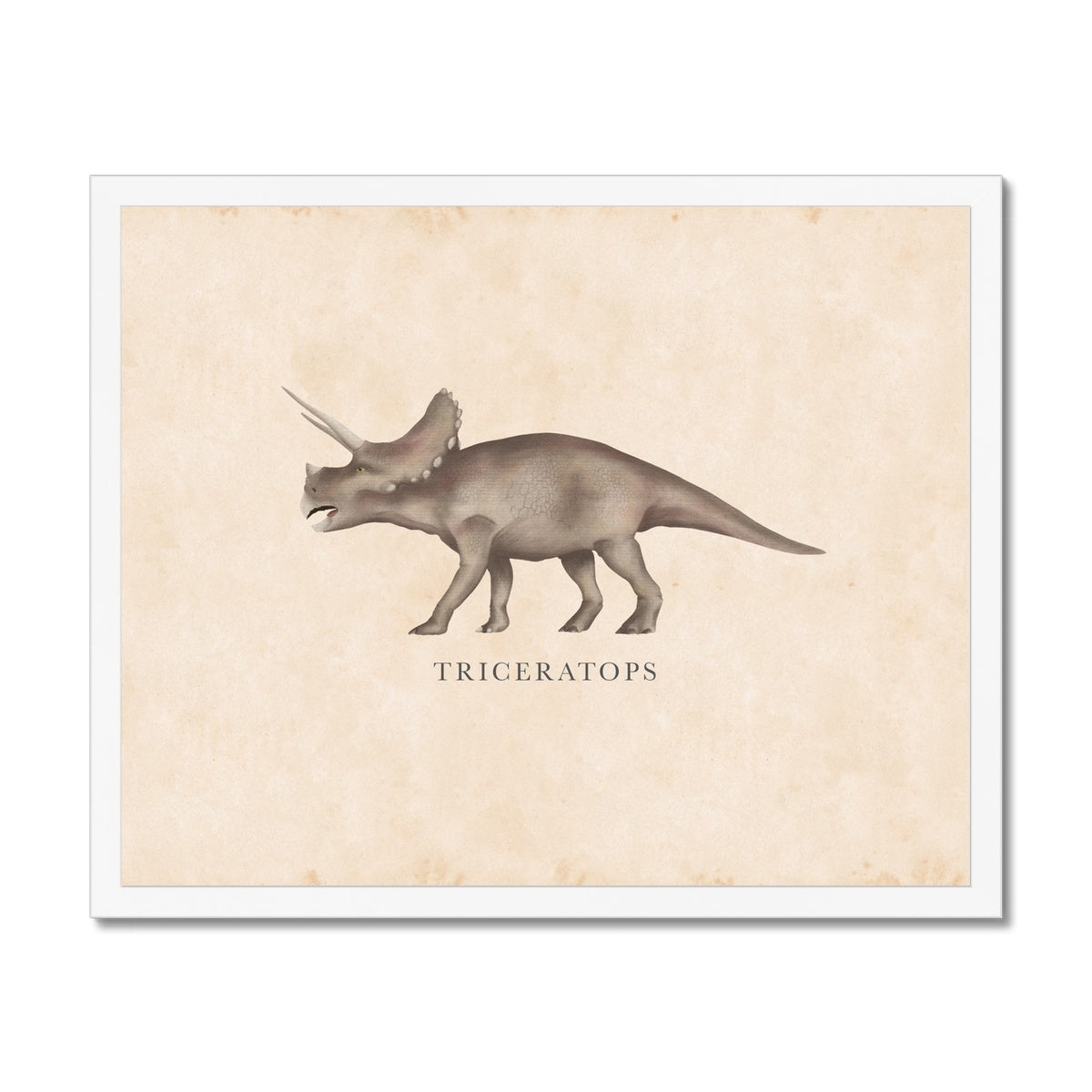Vintage Triceratops Framed Fine Art Print