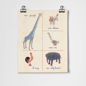 French First Words Animals Fine Art Print