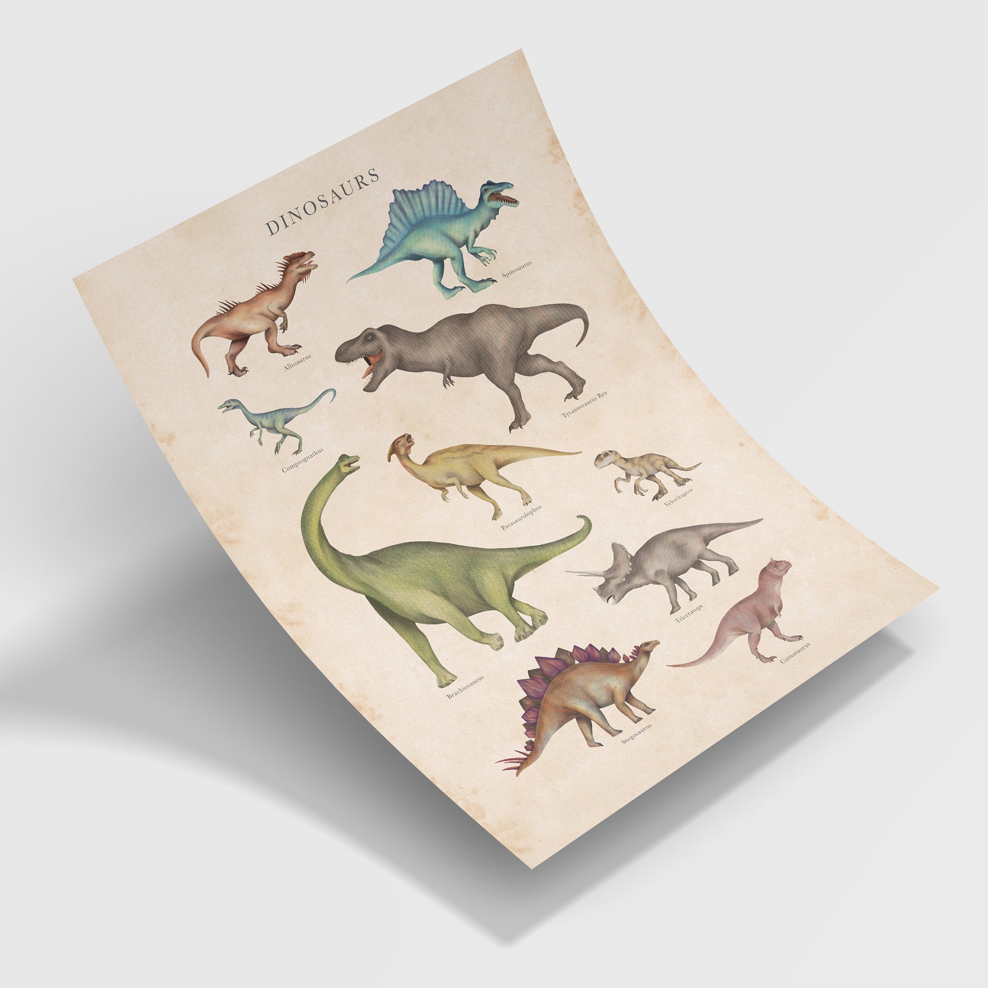 Vintage Dinosaurs Fine Art Print