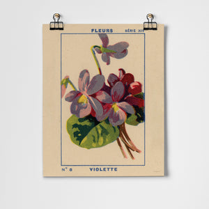 Violette (Violet) Fine Art Print
