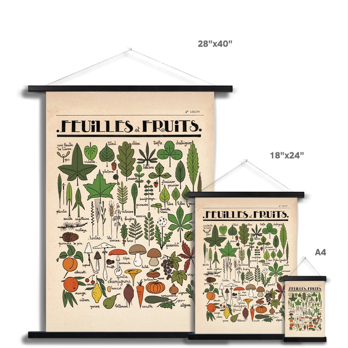Feuilles et Fruits Fine Art Print with Hanger