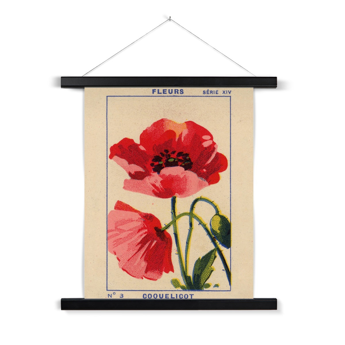 Coquelicot (Poppy) Fine Art Print with Hanger