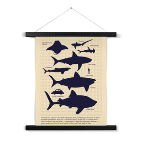 Vintage Sharks Fine Art Print with Hanger