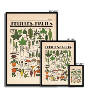 Feuilles et Fruits Framed Fine Art Print